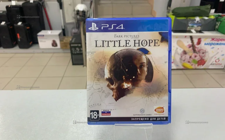 Sony PlayStation  4 Little Hope