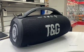 Купить Колонка  T&G 395 б/у , в Казань Цена:2900рублей