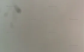 Кроссовки nb