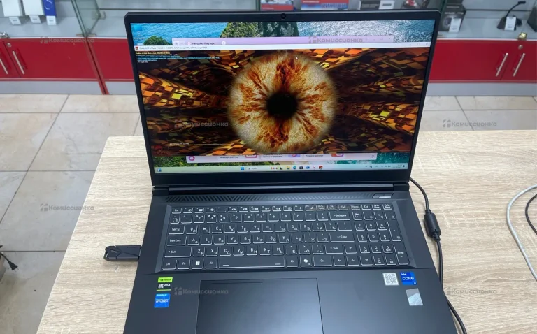 Ноутбук  Thunderobot X17 i7-13