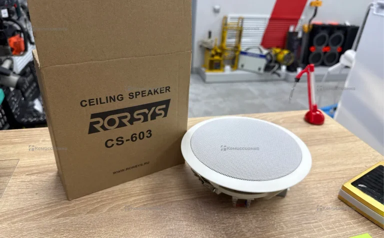 Колонка  динамик RORSYS cs -603