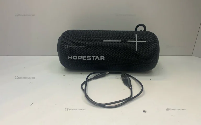 Колонка Hopestar P39