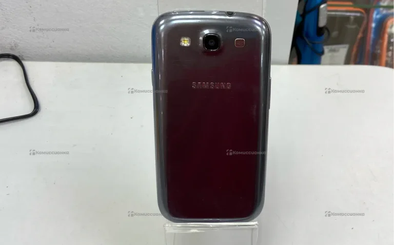 Samsung GT-19300