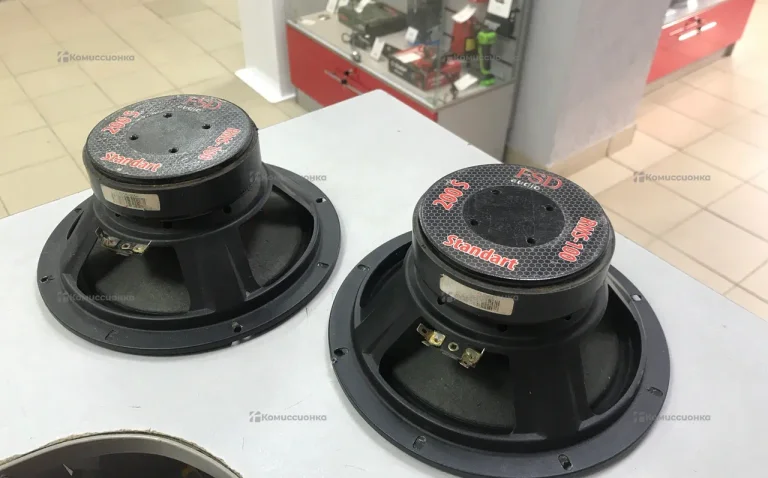 Колонка  FSD standart 200s