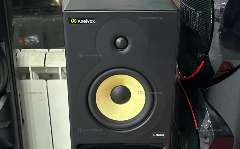 Колонки студийные axelvox TR66A