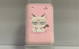 Power Bank  Ritmix 10000