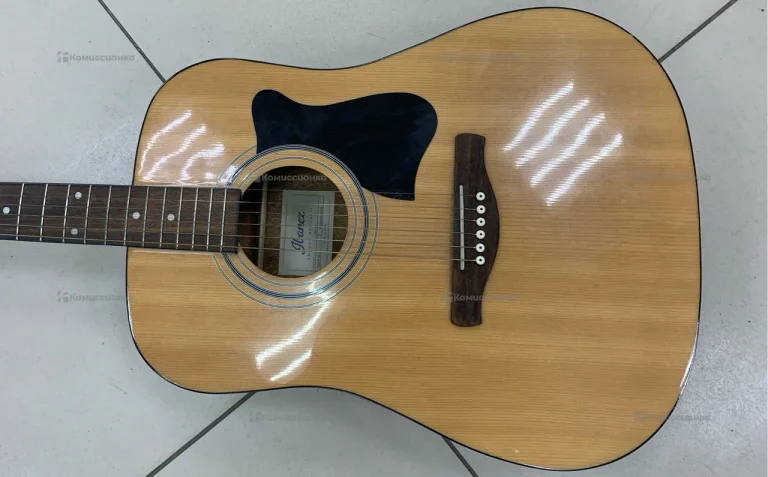 Гитара Ibanez V50NJP