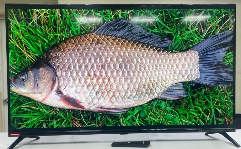 Телевизор STARWIND SW-LED40SG300