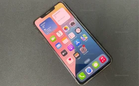 Apple iPhone XS Max 4/64 ГБ